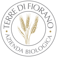 elementi fiorano sito-b-07